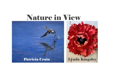 Nature in View Nov. 4th